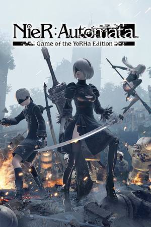 nierautomata